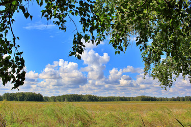 Similar image 22285132