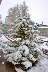 Similar image 22285135