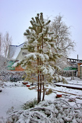 Similar image 22285138