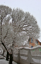 Similar image 22285142