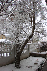 Similar image 22285143