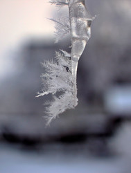 Similar image 22285146