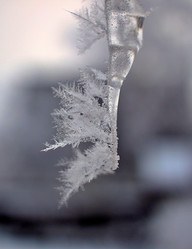 Similar image 22285147