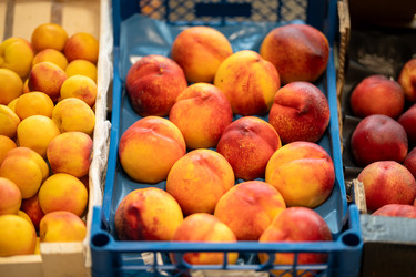 Similar image 22284474