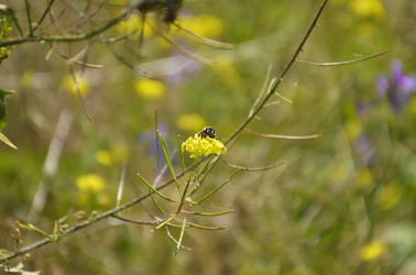 Similar image 22284413