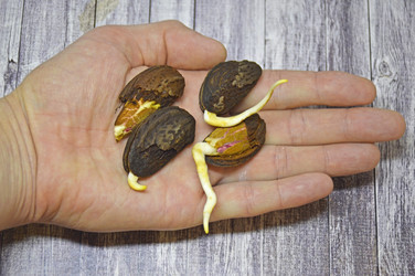 Similar image 22284414