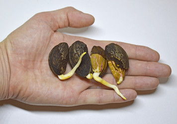 Similar image 22284416