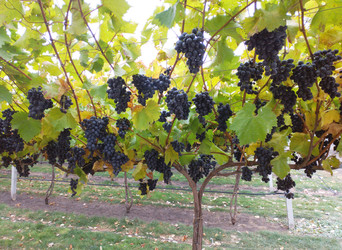 Similar image 22284420