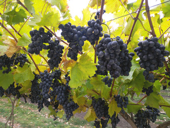 Similar image 22284421