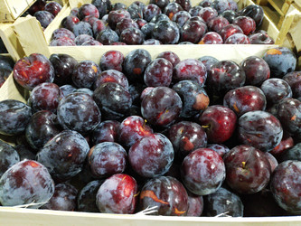 Similar image 22284422