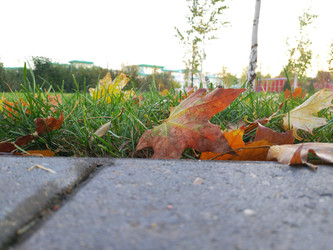 Similar image 22284424