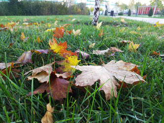 Similar image 22284425