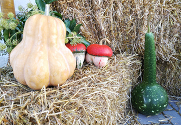 Similar image 22284426