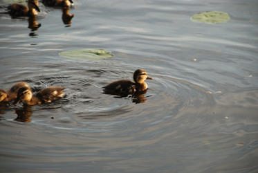 Similar image 22284645