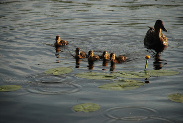 Similar image 22284649