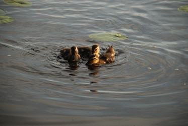 Similar image 22284652