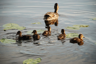 Similar image 22284657