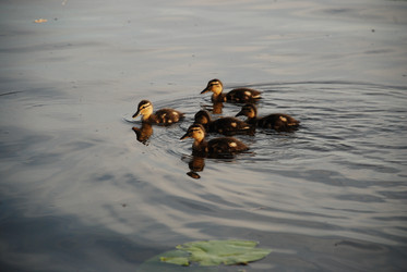 Similar image 22284661