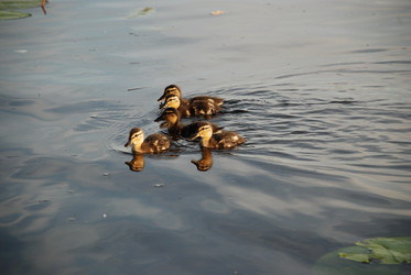 Similar image 22284662