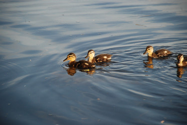 Similar image 22284663