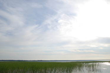 Similar image 22284672