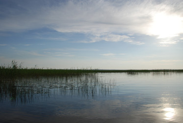 Similar image 22284674