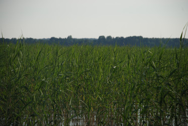 Similar image 22284678