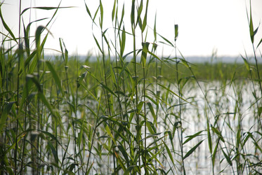 Similar image 22284679