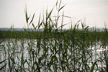 Similar image 22284680