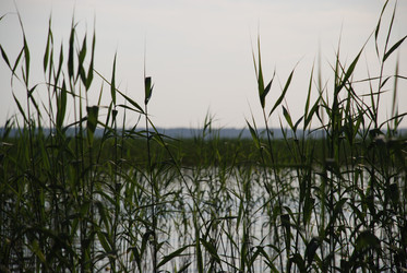 Similar image 22284681