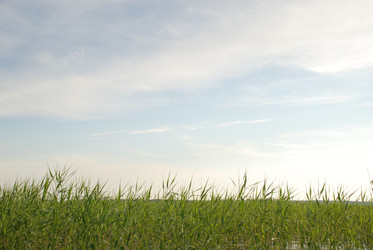 Similar image 22284682