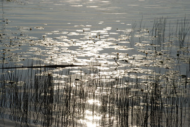 Similar image 22284683