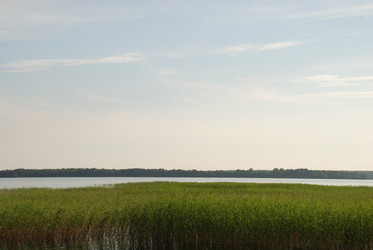 Similar image 22284684