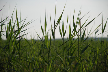 Similar image 22284688