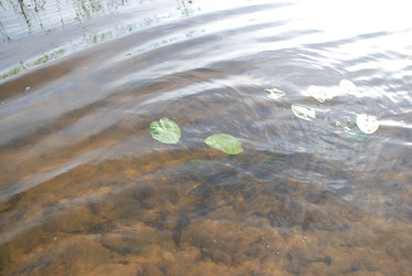 Similar image 22284692