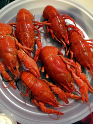 Similar image 22284441