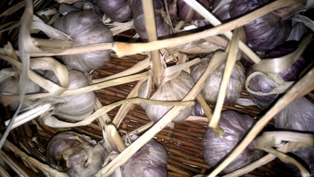 Similar image 22284444