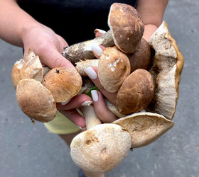 Similar image 22284447