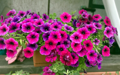 Similar image 22284448