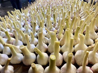 Similar image 22285087