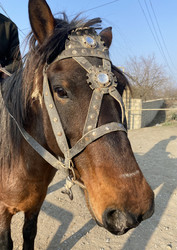 Similar image 22285088