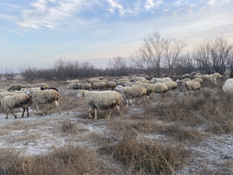 Similar image 22285090