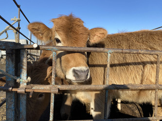 Similar image 22285095