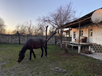 Similar image 22285096