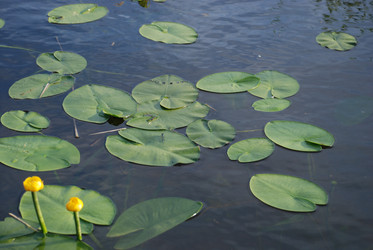 Similar image 22284703