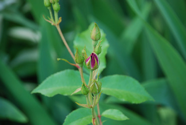 Similar image 22284709