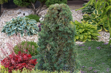 Similar image 22284457