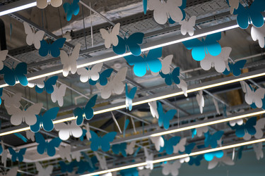 Similar image 22284475