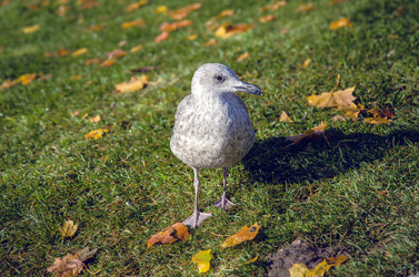 Similar image 22285148