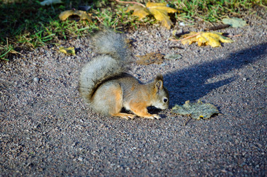 Similar image 22285151